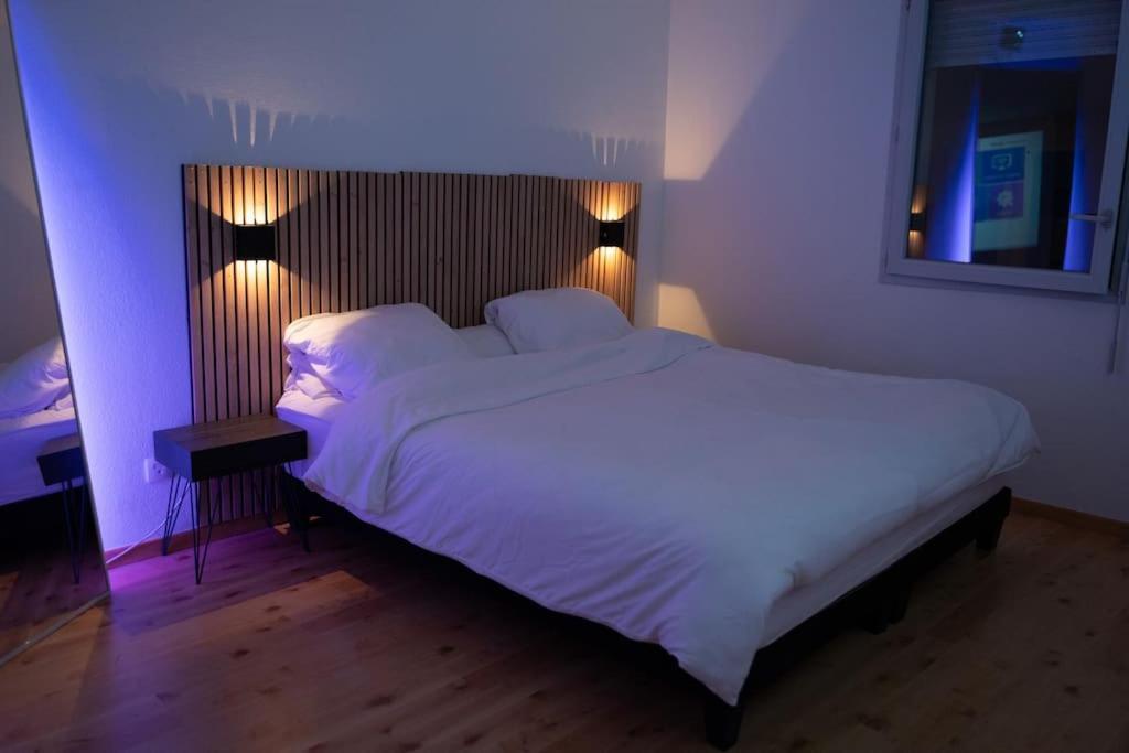 Oasis De Bien-etre A Apartment Toulouse
